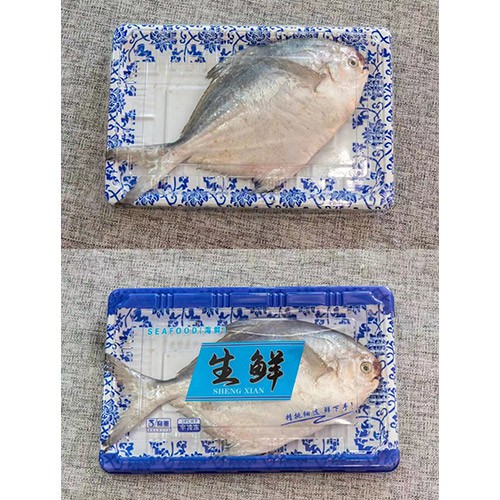 鲳鱼